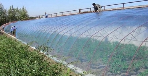 大棚吹膜用哪種增白劑？